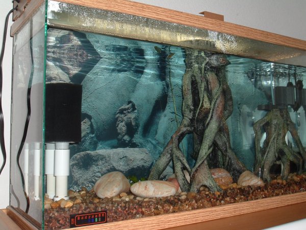 River Tank